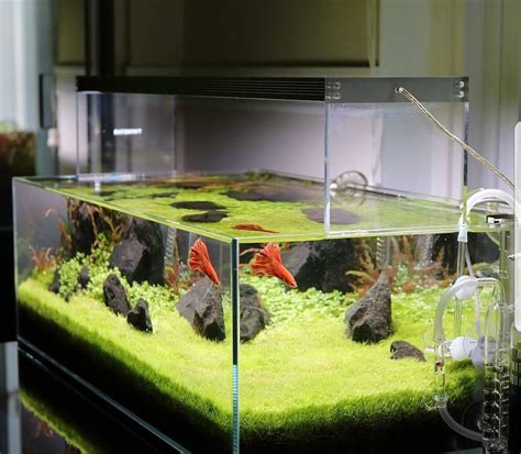 Material of Fish Tank